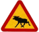 Awatar użytkownika