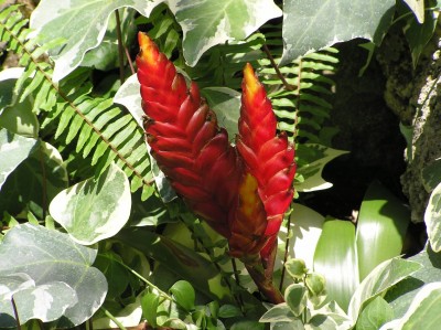 P8040091.JPG (249.39 KiB) Przejrzano 710 razy P8040091.JPG