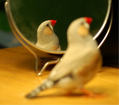 1a.jpg (198.83 KiB) Przejrzano 640 razy 1a.jpg