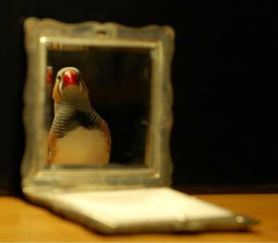 5a.jpg (182.46 KiB) Przejrzano 640 razy 5a.jpg