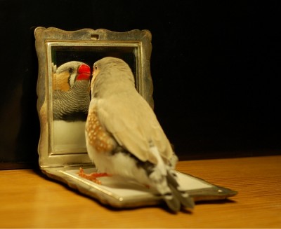 7a.jpg (192.02 KiB) Przejrzano 641 razy 7a.jpg