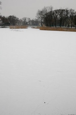_MG_0403.jpg