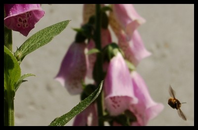 bolid.jpeg (223.18 KiB) Przejrzano 527 razy bolid.jpeg