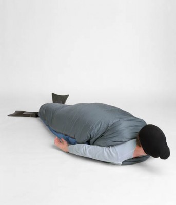 img002.jpg