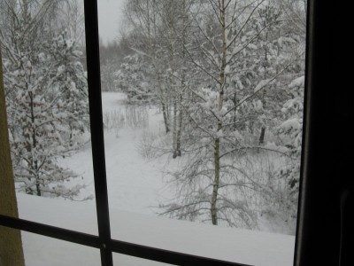 IMG_0010.JPG