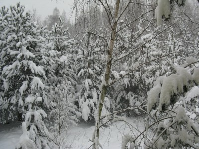 IMG_0012.JPG