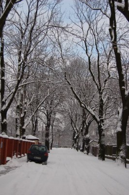 DSC_1024.jpg