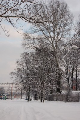 DSC_1034.jpg