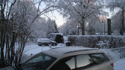 Picture 001.jpg