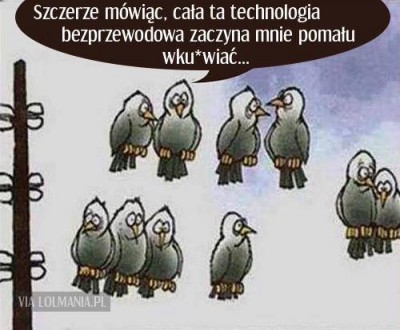 wifi.jpeg
