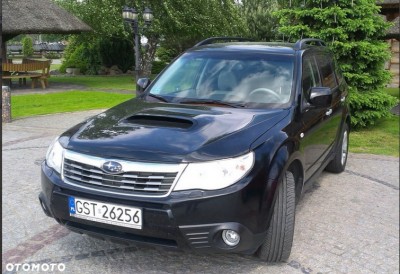 Bez tytułu.jpg