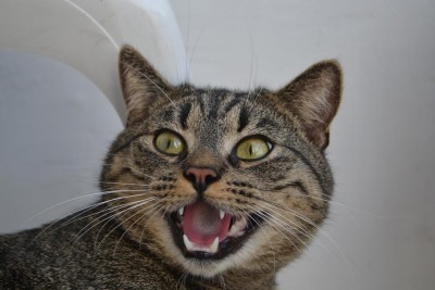 fotooo (12).jpg