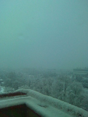 13032009_001.jpg