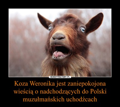 weronka.jpg