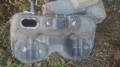 DSC_1460.JPG