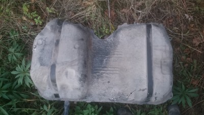 DSC_1461.JPG
