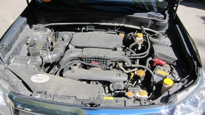 IMG_3750_small.jpg