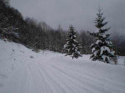 T3.JPG