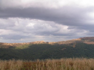 B7.JPG