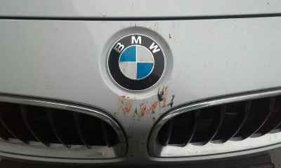20160326_162925.jpeg