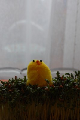 DSC_1122.jpg