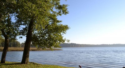 23101132.jpg (79.2 KiB) Przejrzano 4174 razy 23101132.jpg