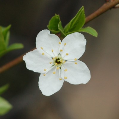 DSC_1277.jpg