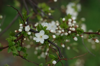 DSC_1280.jpg