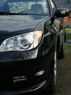 DSC03387.JPG (55.62 KiB) Przejrzano 1446 razy DSC03387.JPG