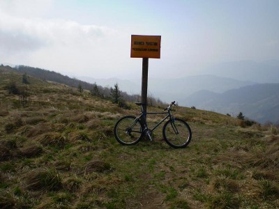 P3.JPG