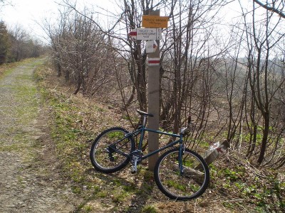 P6.JPG
