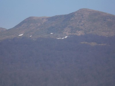 P7.JPG