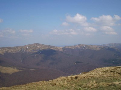 E1.JPG