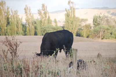DSC_5321.jpg