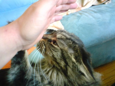 DSC00147.JPG