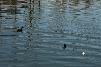 DSC_1544.jpg