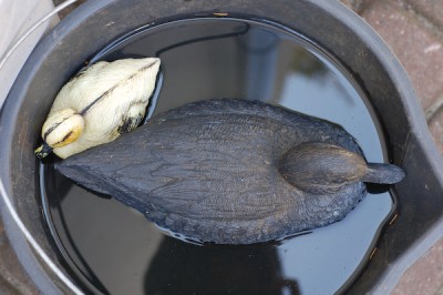 DSC_1480.jpg