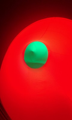 IMAG0098-1.jpg