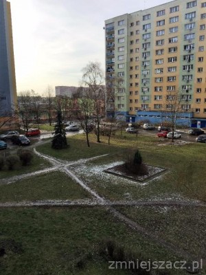 IMG_01832.JPG