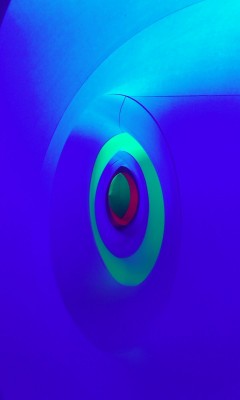 IMAG0110-1.jpg