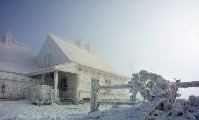 l3.jpg