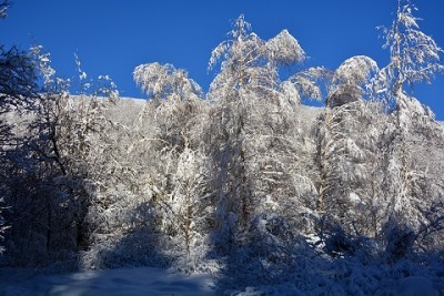 julka1.jpg