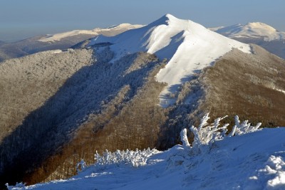 Królowa.jpg