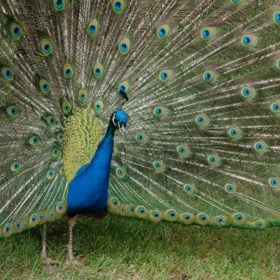 DSC_2106-1.jpg (210.91 KiB) Przejrzano 432 razy DSC_2106-1.jpg