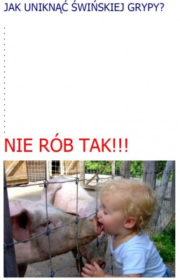JAK UNIKNĄĆ ŚWIŃSKIEJ GRYPY.JPG