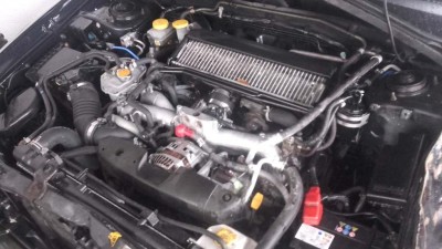 f9.jpg