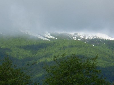Z3.JPG