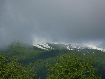 Z4.JPG