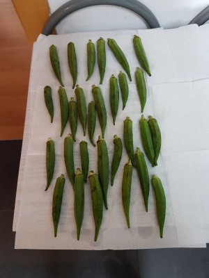 20170524_182035.jpg
