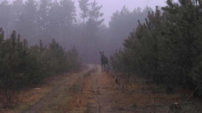 oś.jpg (69.4 KiB) Przejrzano 1172 razy oś.jpg